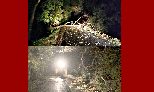 சாலையில் மரம் விழுந்து போக்குவரத்து பாதிப்பு