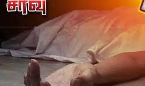 மின் கம்பத்திலிருந்து தவறி விழுந்த ஊழியர் சாவு