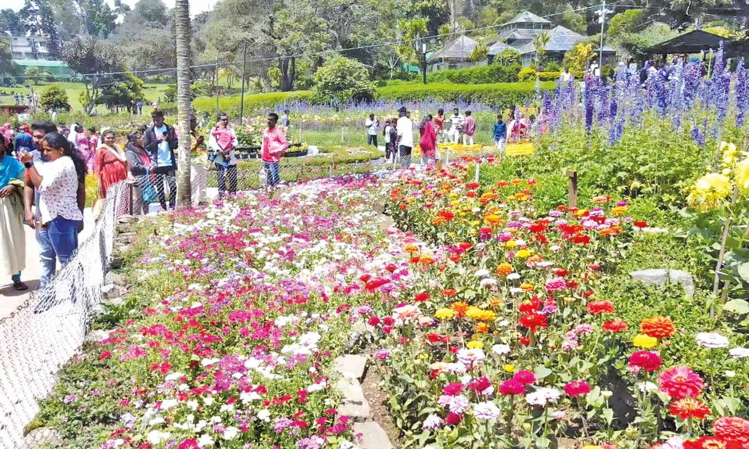 கொடைக்கானலில் கோடை விழா, மலர் கண்காட்சி 26ந்தேதி தொடங்குகிறது