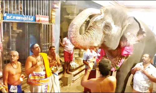 பிரம்மோற்சவ விழா: திருநள்ளாறு சனீஸ்வரர் கோவிலில் கணபதி பூஜை