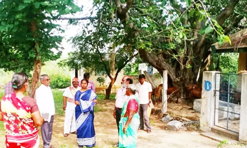 ஆட்டுப்பண்ணையில் கலெக்டர் ஆய்வு