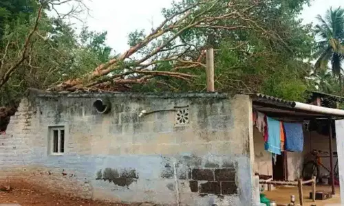 காங்கேயத்தில் மரம் விழுந்து வீடு சேதம்