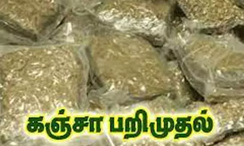 கஞ்சாவுடன் 3 பேர் கைது