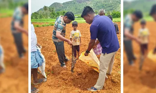 வாசுதேவநல்லூர் அருகே அரியவகை மரநாய்கள் மர்மமான முறையில் சாவு