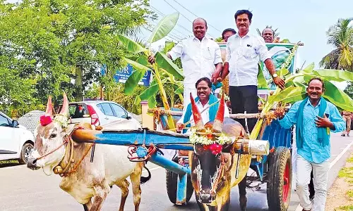 கோட்டூரில் நெல் திருவிழா