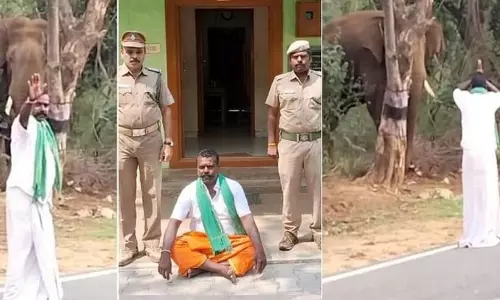 ஒகேனக்கல்லில் யானையை வணங்குவது போல் வீடியோ வெளியிட்டவருக்கு அபராதம் விதிப்பு