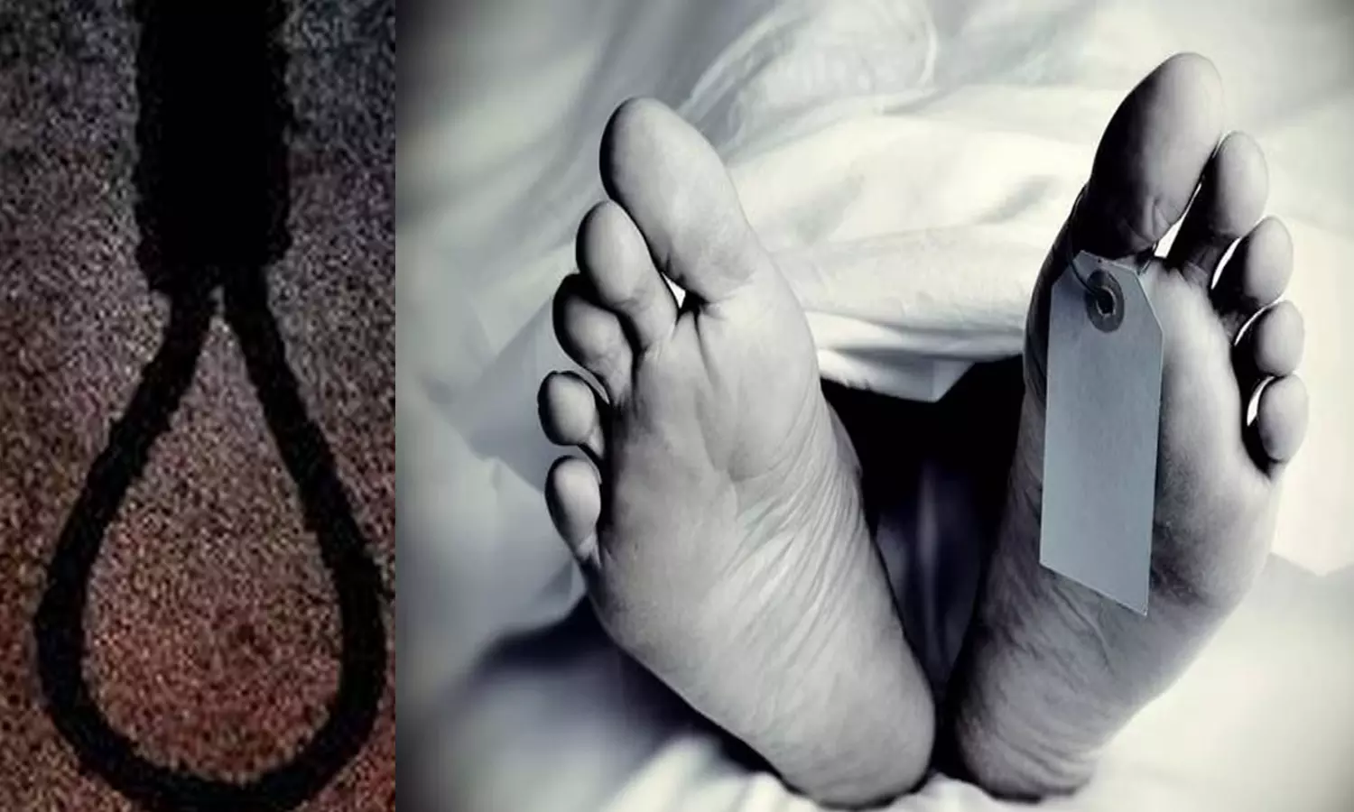 வாலிபர் தூக்கிட்டு தற்கொலை