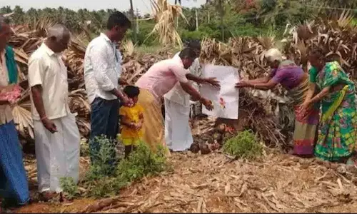 பல்லடம் அருகே வேருடன் வெட்டி சாய்க்கப்பட்ட பனை மரங்களுக்கு அஞ்சலி செலுத்திய பொதுமக்கள்