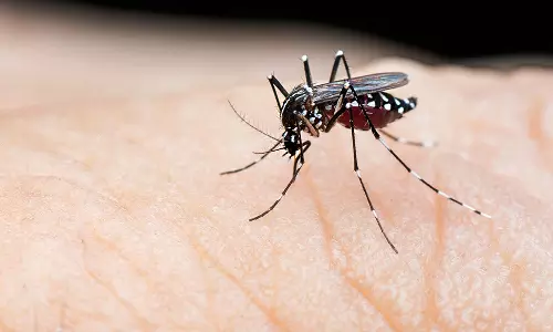 பொன்னேரி அருகே பரவும் டெங்கு காய்ச்சல்