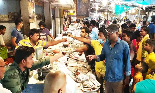 வரத்து குறைவால் மீன்கள் விலை அதிகரிப்பு