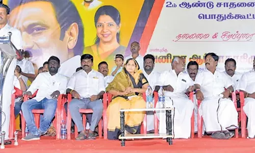 உடன்குடி அருகே தி.மு.க. 2 ஆண்டு சாதனை  விளக்க பொதுக்கூட்டம்