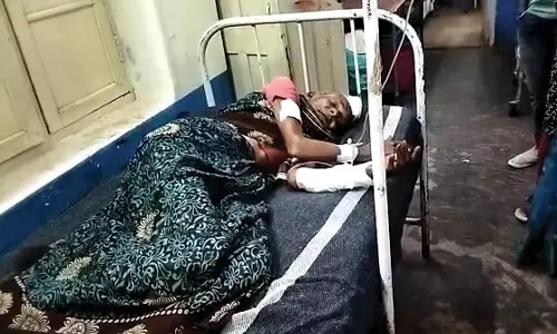 கோத்தகிரி அருகே கரடி தாக்கியதில் மூதாட்டி படுகாயம்