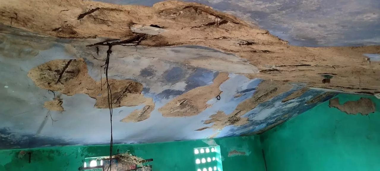 தோலம்பாளையம் ராஜீவ்காந்தி நகரில் இடிந்து விழும் நிலையில் தொகுப்பு வீடுகள்