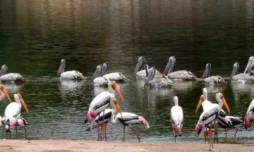 நஞ்சராயன்குளம் பாதுகாப்பு கோரிக்கை மாநாடு