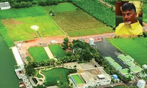 கிருஷ்ணா நதிக்கரையில் சந்திரபாபு நாயுடு பங்களாவை அகற்ற வழக்கு பதிவு