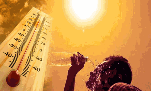 கரூரில் சுட்டெரிக்கும் கோடை வெயில்