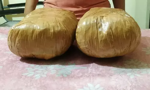 ரெயிலில் கஞ்சா கடத்தி வந்த வாலிபர் கைது