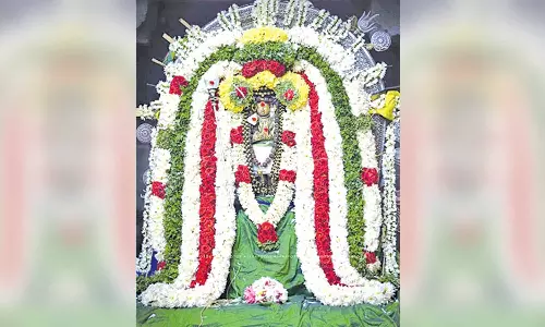 திருப்புகலூர் அக்னீஸ்வரர் கோவிலில் அப்பர் ஐக்கிய திருவிழா