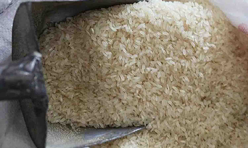 ரேஷன் அரிசியை பதுக்கி வைத்து வட மாநில தொழிலாளர்களுக்கு விற்பனை - வாலிபர் கைது