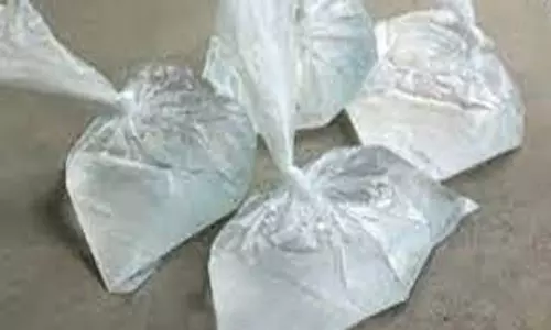 குமரி மலையோர பகுதிகளில் போலீசார் அதிரடி சோதனை