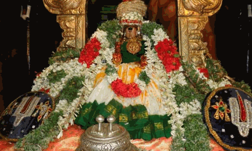 உறையூர் கமலவல்லி நாச்சியார் கோவிலில் கோடை திருநாள்