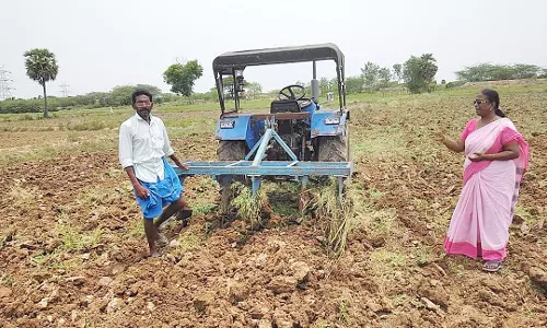 கோடை உழவு பணியில் விவசாயிகள் தீவிரம்
