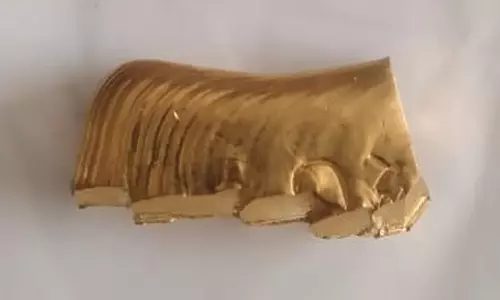 கோவையில் தொழில் அதிபர் வீட்டில் தங்க கட்டி திருடிய வேலைக்கார பெண் கைது