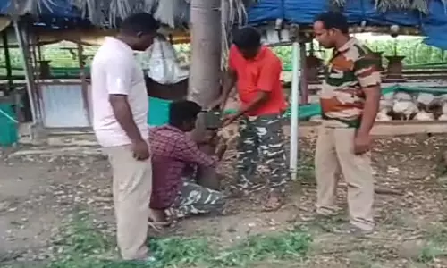 விவசாய தோட்ட கோழிப்பண்ணையில் சிறுத்தை?