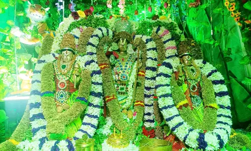 பெருமாள் கோவிலில் வசந்த உற்சவ விழா