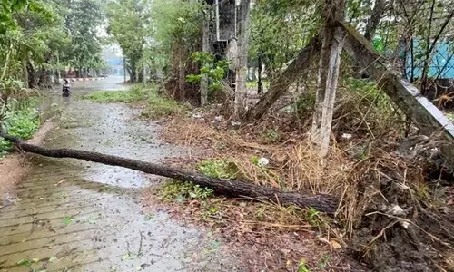 மியான்மர் கடலோர பகுதிகளை சூறையாடிய மோக்கா புயல்: 60 பேர் பலி