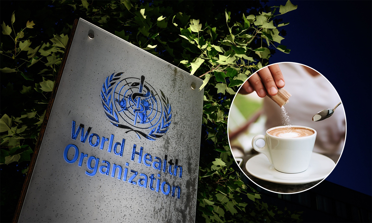 Health risks and the role of sugary drinks Health risks and the role of sugary drinks
