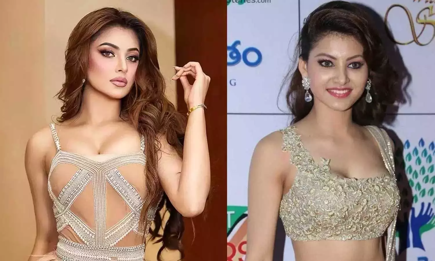 முதலையை கழுத்தில் அணிந்த தி லெஜண்ட் பட நாயகி