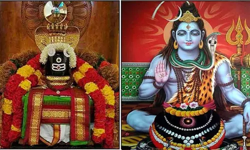 இன்று பிரதோஷம்... விரதம் இருந்தால் தோஷங்கள் அனைத்தும் நீங்கும்...