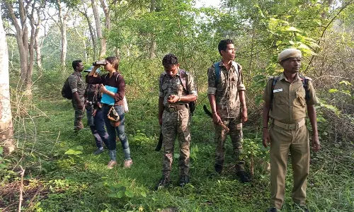 தென்னிந்திய அளவிலான யானைகள் கணக்கெடுப்பு இன்று தொடங்கியது