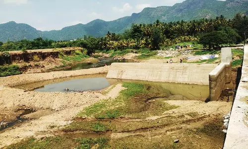 ஜூன் முதல் வாரத்தில் முல்லைப்பெரியாறு அணையில் பாசனத்திற்கு தண்ணீர் திறக்கப்படுமா?