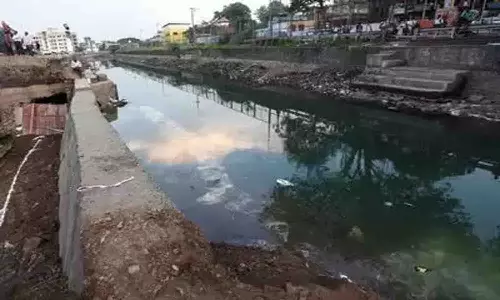பல்லடம் பி.ஏ.பி. பாசன வாய்க்கால் கரைகளில் குடிமகன்கள் அட்டகாசம்