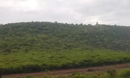 பசுமையாக காட்சியளிக்கும் சென்னிமலை வனப்பகுதி