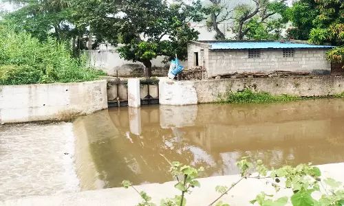 செண்பகத் தோப்பு அணை நீர் வீணாக ஆற்றில் கலக்கிறது