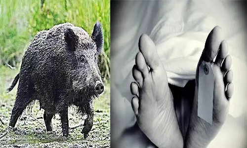 காட்டுப்பன்றி மோதி காயமடைந்த வாலிபர் சாவு