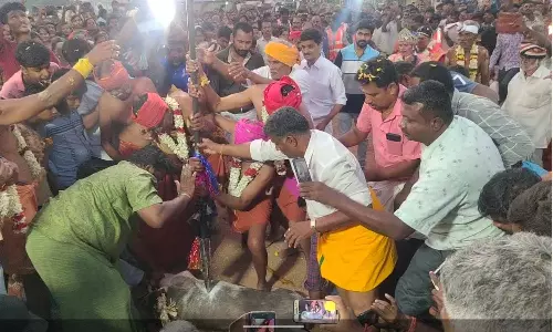 நரசிம்மநாயக்கன்பாளையம் கோவில் விழாவில்  500 ஆடுகளை வெட்டி விருந்து