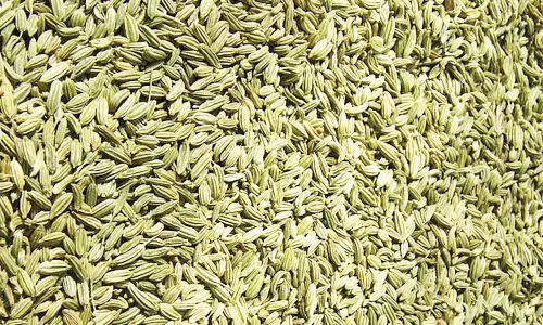 ஆரோக்கியம் அளிக்கும் அஞ்சறைப்பெட்டி- மந்திர மூலிகை சோம்பு