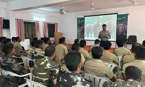 உடுமலை அமராவதி வனச்சரகங்களில் யானைகள் கணக்கெடுப்பு பணி இன்று தொடங்கியது