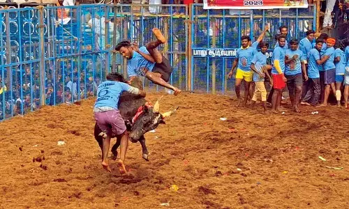 நத்தம் அருகே ஜல்லிக்கட்டு போட்டியில் சீறிப்பாய்ந்த காளைகள்- 10 பேர் படுகாயம்
