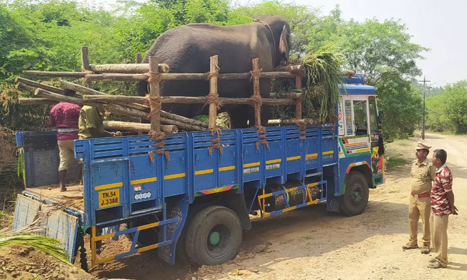ஒற்றை காட்டு யானையை பிடிக்க வந்த 2 கும்கி யானைகள் முதுமலை முகாமிற்கு திருப்பி அனுப்பி வைப்பு ஒற்றை காட்டு யானையை பிடிக்க வந்த 2 கும்கி யானைகள் முதுமலை முகாமிற்கு திருப்பி அனுப்பி வைப்பு