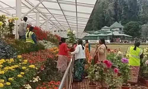 கோடை விழாவையொட்டி ஊட்டியில் 125-வது மலர் கண்காட்சி நாளை தொடங்குகிறது