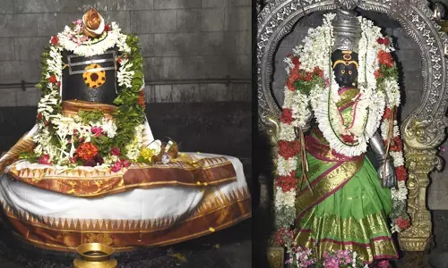 புதுக்கோட்டை சிவாலயங்களில் பிரதோஷ விழா