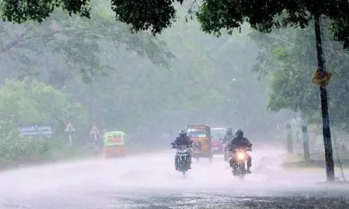 மடத்துக்குளம் வட்டாரத்தில் பலத்த மழை - வாழை-தென்னை மரங்கள் வேரோடு சாய்ந்தன