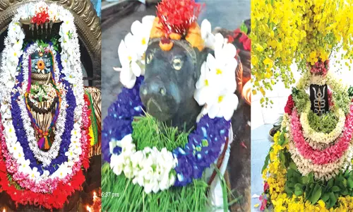 பரமத்திவேலூர் பகுதி சிவன் கோவில்களில் பிரதோஷ வழிபாடு