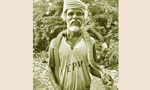 7 அடி நீள பாம்பை தோளில் சுற்றியபடி டாஸ்மாக் கடைக்கு வந்த முதியவர்