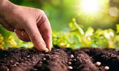 பருவத்திற்கு ஏற்ப விவசாயிகளுக்கு விதை வழங்க வேண்டும்